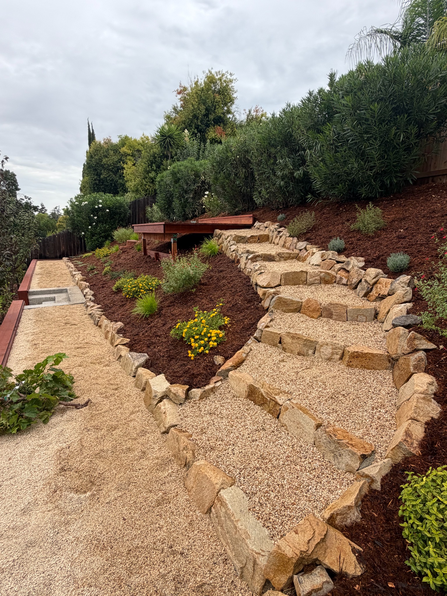 Tecate Gold stone stairs and pathway through the completed Brentwood hillside garden
