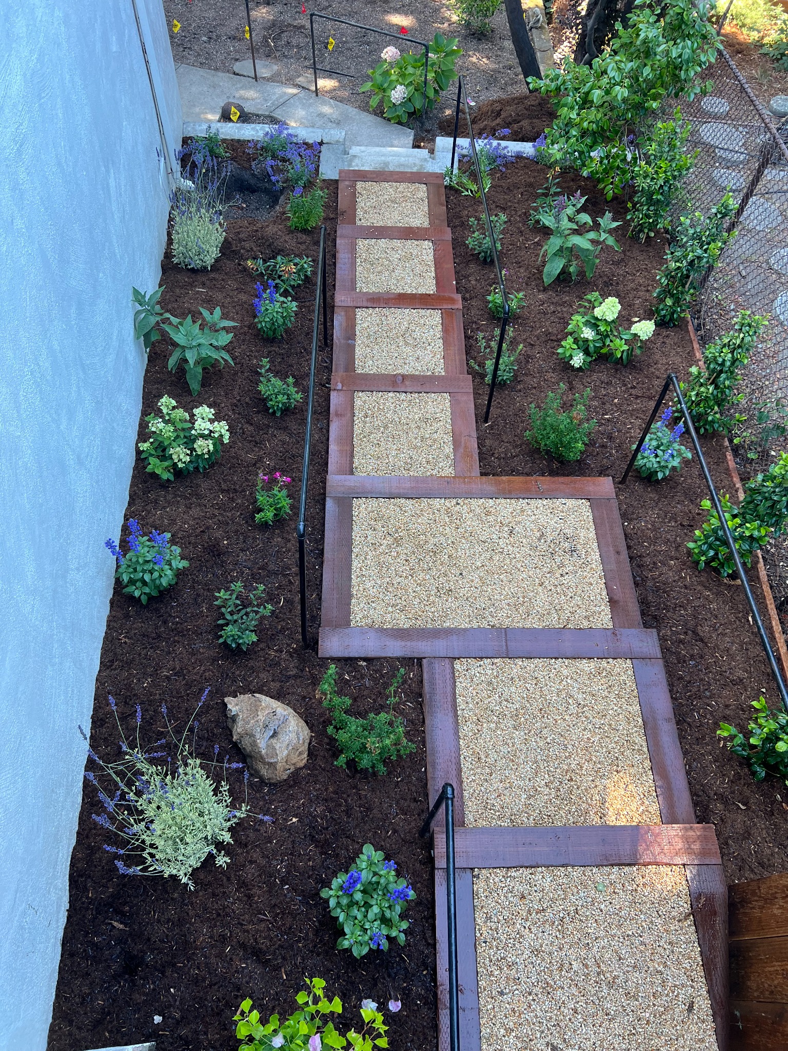 Completed garden pathway remodel with timber borders, gravel and new planting by RJ Landscape